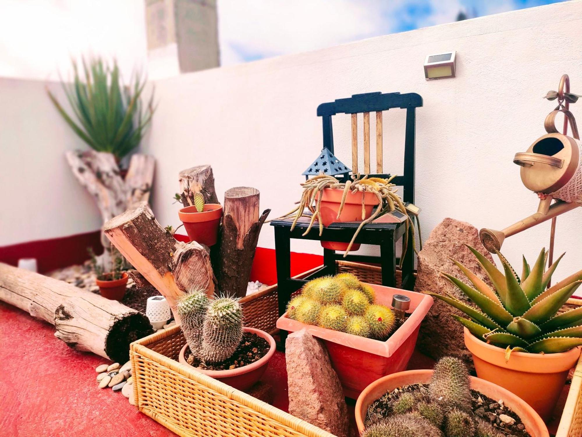 Casa El Escano グラナディージャ・デ・アボナ エクステリア 写真
